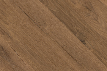 wild oak tree wood wallpaper structure texture background backdrop