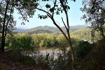 beautiful Corbett tiger reserve forest