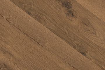 wild oak tree wood wallpaper structure texture background backdrop