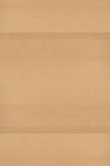 wood timber tree wooden backdrop structure texture background wallpaper