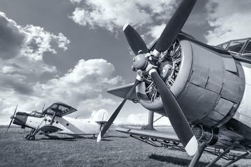 historical aircrafts on a meadow