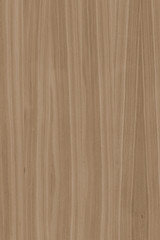 Naklejka premium wood timber tree wooden backdrop structure texture background wallpaper