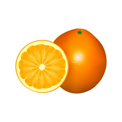 EPS 10. Gradient mesh oranges