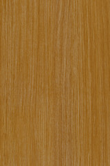 Naklejka premium wood timber tree wooden backdrop structure texture background wallpaper