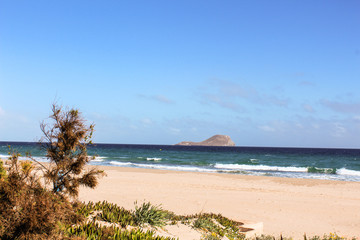Beach Landscape Detail
