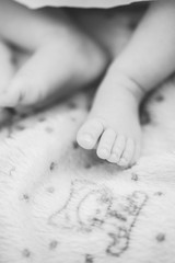 Pieds de b&eacute;b&eacute;