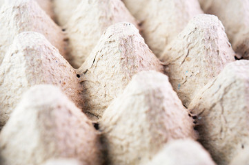 Empty paper egg container background, side view