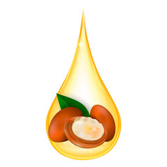Argan oil isolated on white background. Vector