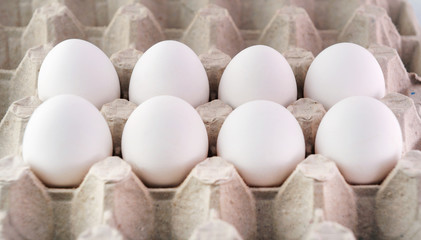 Farm egg in paper container. Isolated on white background.