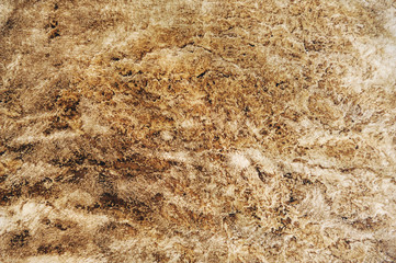 Paper with brown coffee stains.