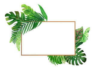 summer jungle tropical leaves frame template card