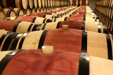 Fotobehang Red wine casks in a row in vine cellar © fotofox33