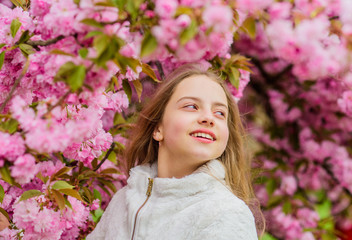 Soft and tender. Pink is on my mind. Pink is my favorite. Little girl enjoy spring. Kid pink flowers of sakura tree garden. Kid enjoying pink cherry blossom. Tender bloom. Bright and vibrant