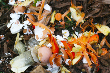 compost - organic garbage from the kitchen, produce humus in the garden, by ecological, make your own soil from kitchen waste