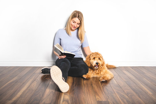 woman with his Golden Labradoodle dog reading book isolated on white background