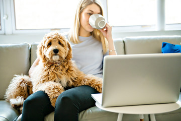 woman with his Golden Labradoodle dog at home drinking coffee