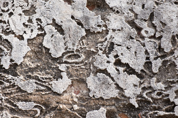 The Old Broken Wall And Brick.