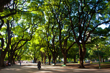 Obraz premium Buenos aires city, Argentina