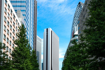 Tohyo, a mixture of modernity and tradition