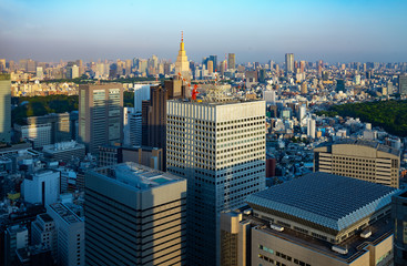 Tokyo, a mixture of modernity and tradition