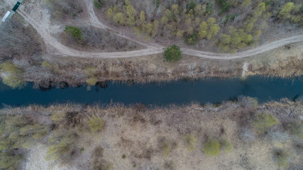 forest landscape with lot of trees and small river 