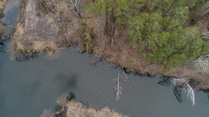 forest landscape with lot of trees and small river 