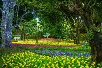 flowers in the park