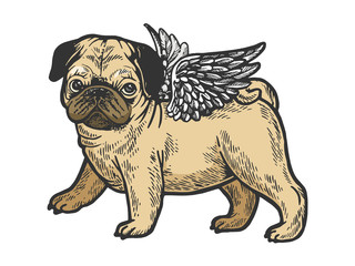 Angel flying pug dog puppy color sketch engraving vector illustration. Scratch board style imitation. Black and white hand drawn image.