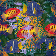 Naklejki  Bezszwowa karta podwodna z tropikalną rybą, ilustracji wektorowych