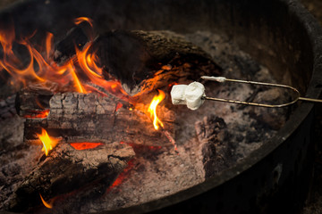Roasting marshmallows on a campfire outdoors