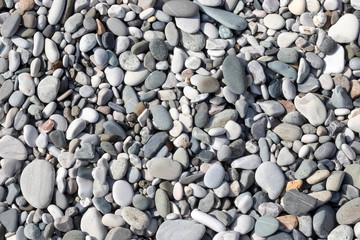 Stone round sea multi-colored. Sea pebbles texture, top view closeup.