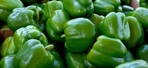 Plakat Fresh ripe green peppers for sale at outdoor market place