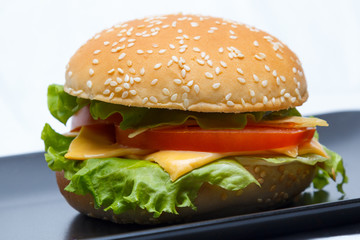 image of a home-made vegetarian Burger with fresh meat-free ingredients