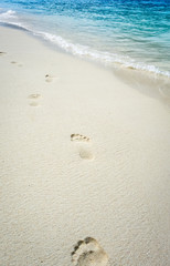 footprints on a tropical beach
