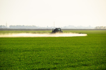 Fototapeta premium tractor with the help of a sprayer sprays liquid fertilizers on young wheat in the field.