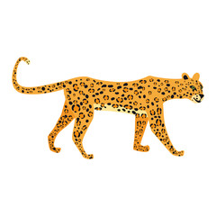 Leopard cute trend style, animal predator mammal, jungle