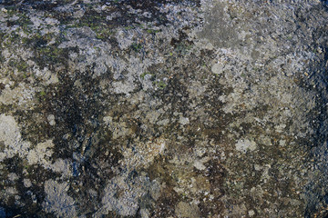 old vintage grunge concrete cement bricks wall background wallpaper surface backdrop