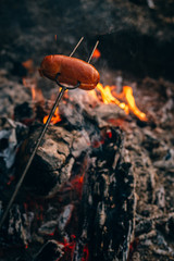 Czech Traditional barbecue sausages on a stick, roasted on a campfire - typical czech outdoor activity with friends or family