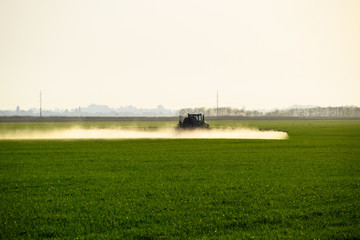 Fototapeta premium tractor with the help of a sprayer sprays liquid fertilizers on young wheat in the field.