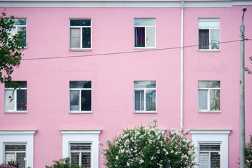 Fototapeta na wymiar The pink facade of the building with windows is a bright background for flowering lilac bushes near this building. Residential building of bright color in a small town.
