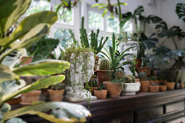 Fototapeta na wymiar Decoration living room interior style green eco environmental with plant