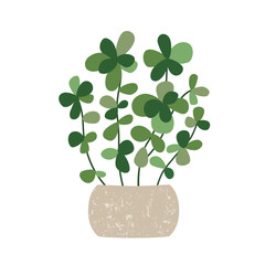 Houseplant with potted. Vector illustration isolated. EPS10