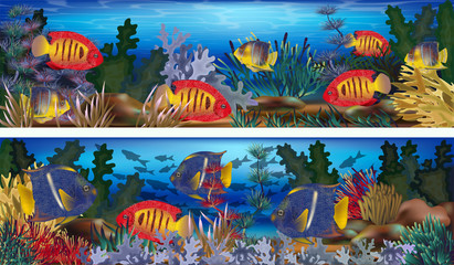 Underwater  banners with tropical fish, vector illustration