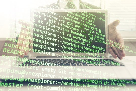 Programmer.