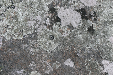 old vintage grunge concrete cement bricks wall background wallpaper surface backdrop