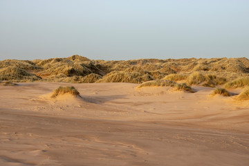 Fototapeta na wymiar Sand Dunes in front of Dusk Sky