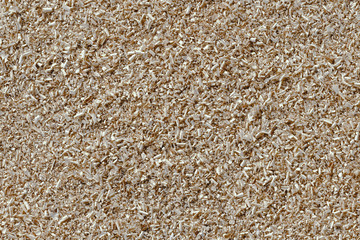 wood chips timber tree wooden backdrop structure texture background wallpaper