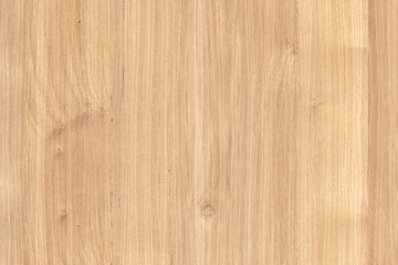 Naklejka premium light brown vintage beech tree wood wallpaper structure surface texture background