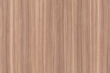 light brown vintage beech tree wood wallpaper structure surface texture background