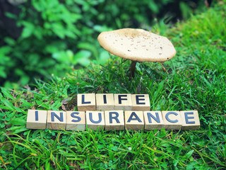 Life Insurance concept - Life Insurance written on wooden blocks.